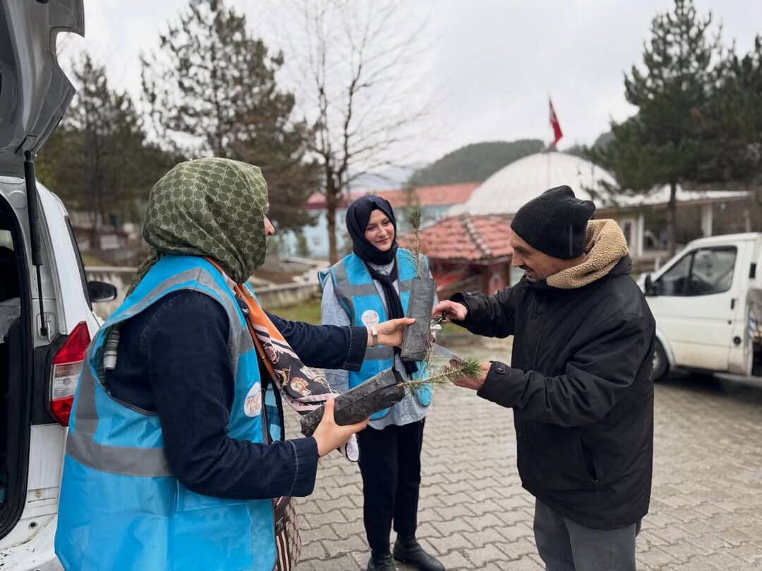Ak Parti Kastamonu Vatandaşlara Çam Fidanı Hediye Etti 5