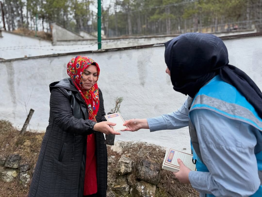 Ak Parti Kastamonu Vatandaşlara Çam Fidanı Hediye Etti 6