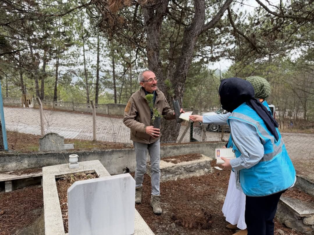 Ak Parti Kastamonu Vatandaşlara Çam Fidanı Hediye Etti 7