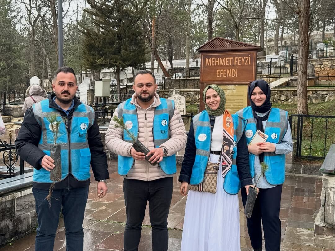 Ak Parti Kastamonu Vatandaşlara Çam Fidanı Hediye Etti 8888