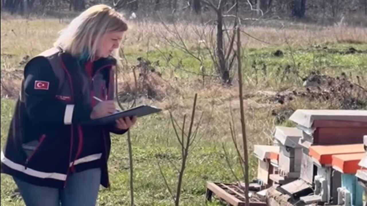 Arıcılık Gezici (2)