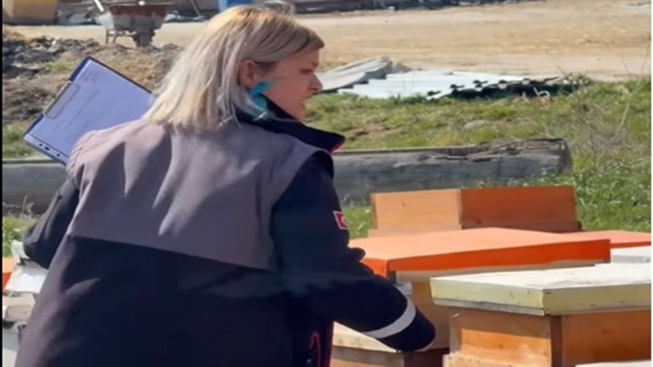 Arıcılık Gezici (3)