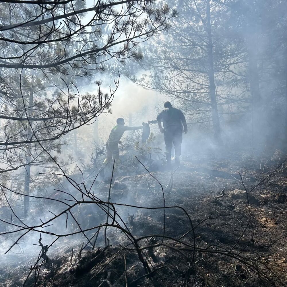 Daday Orman Yangını Tarım (1)