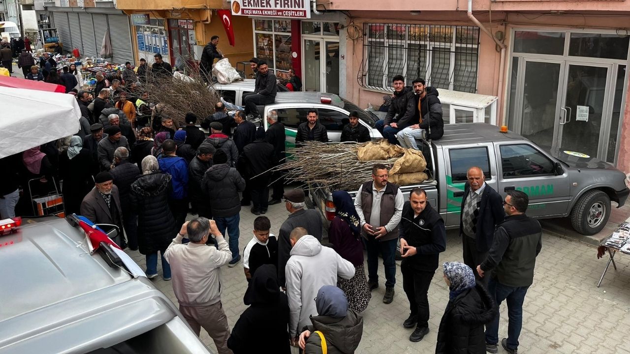 Hanönü Fidan (3)-2