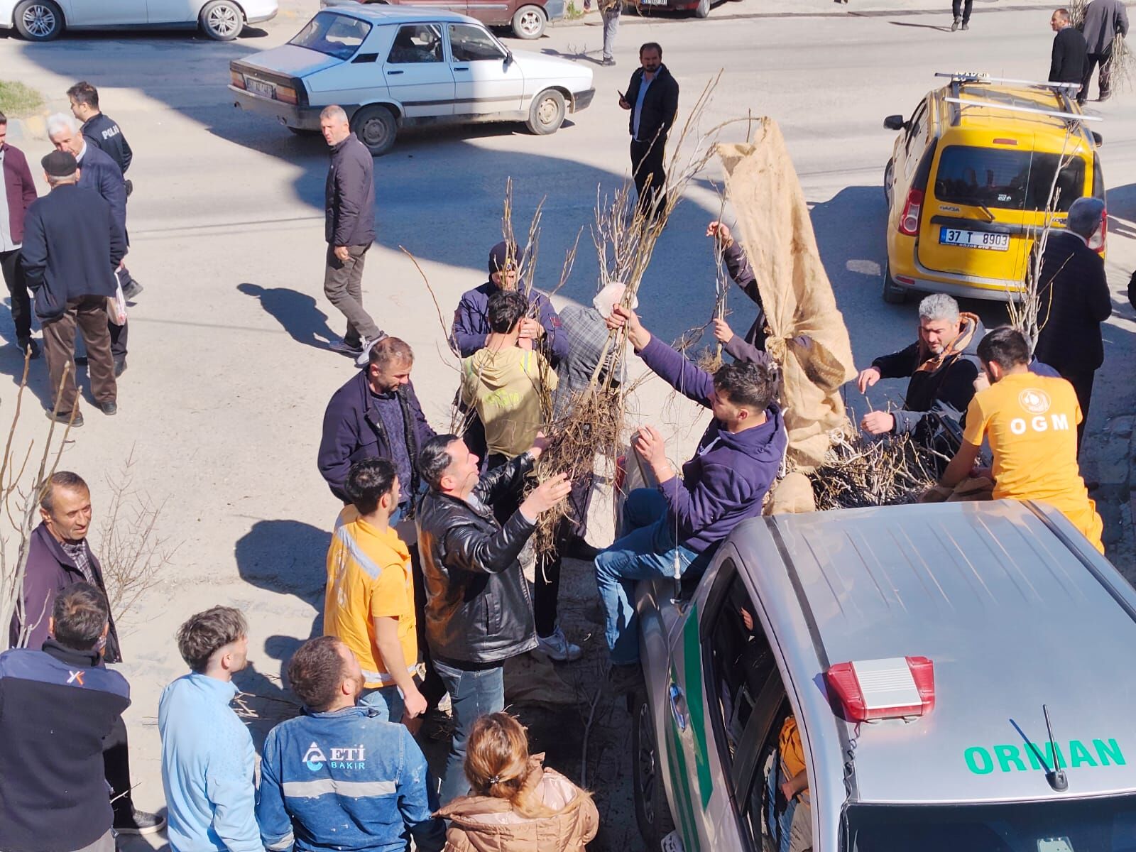 Hanönü'de Vatandaşlara 2 Bin Fidan Dağıtıldı 12