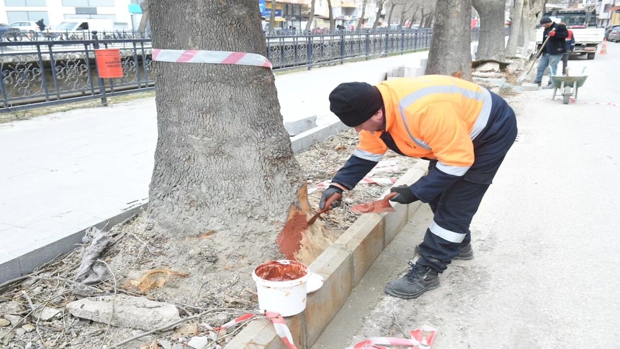 Hasan Baltacı Sahada Inceleme (3)