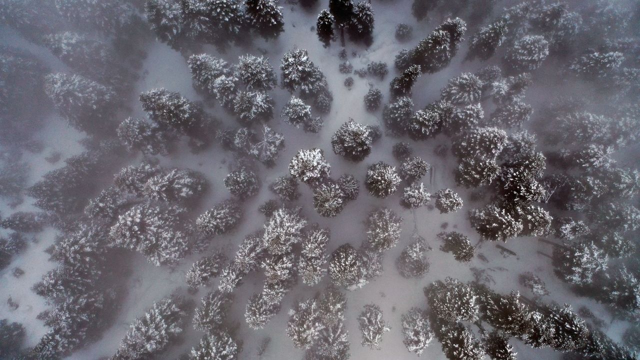 Ilgaz Dağı’nda Sis Büyüledi Doğa Manzarası Havadan Görüntülendi (3)