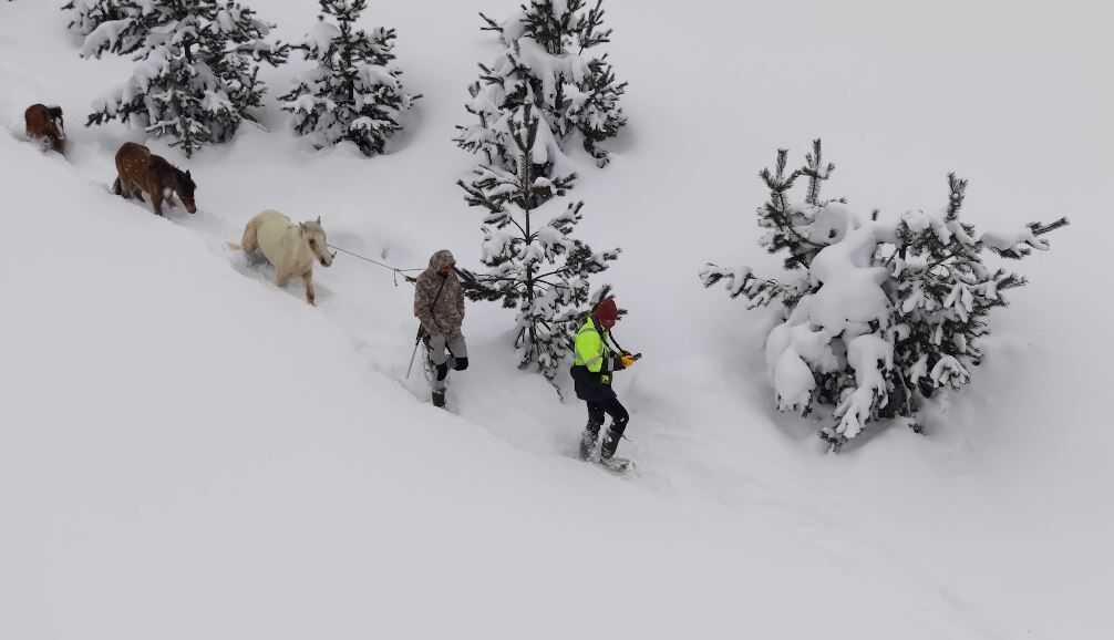 Kar Altında Aylarca Mahsur Kalan Atları Köyün Gençleri Kurtardı3