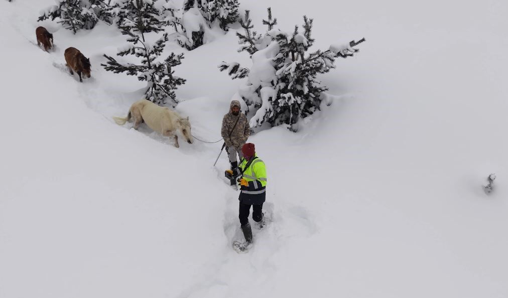 Kar Altında Aylarca Mahsur Kalan Atları Köyün Gençleri Kurtardı5