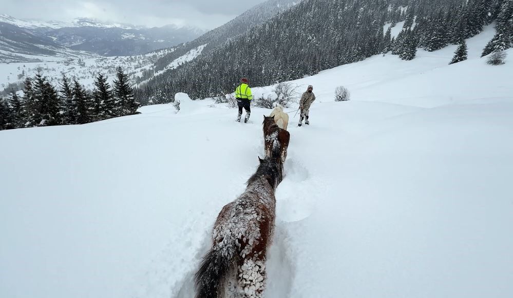 Kar Altında Aylarca Mahsur Kalan Atları Köyün Gençleri Kurtardı6