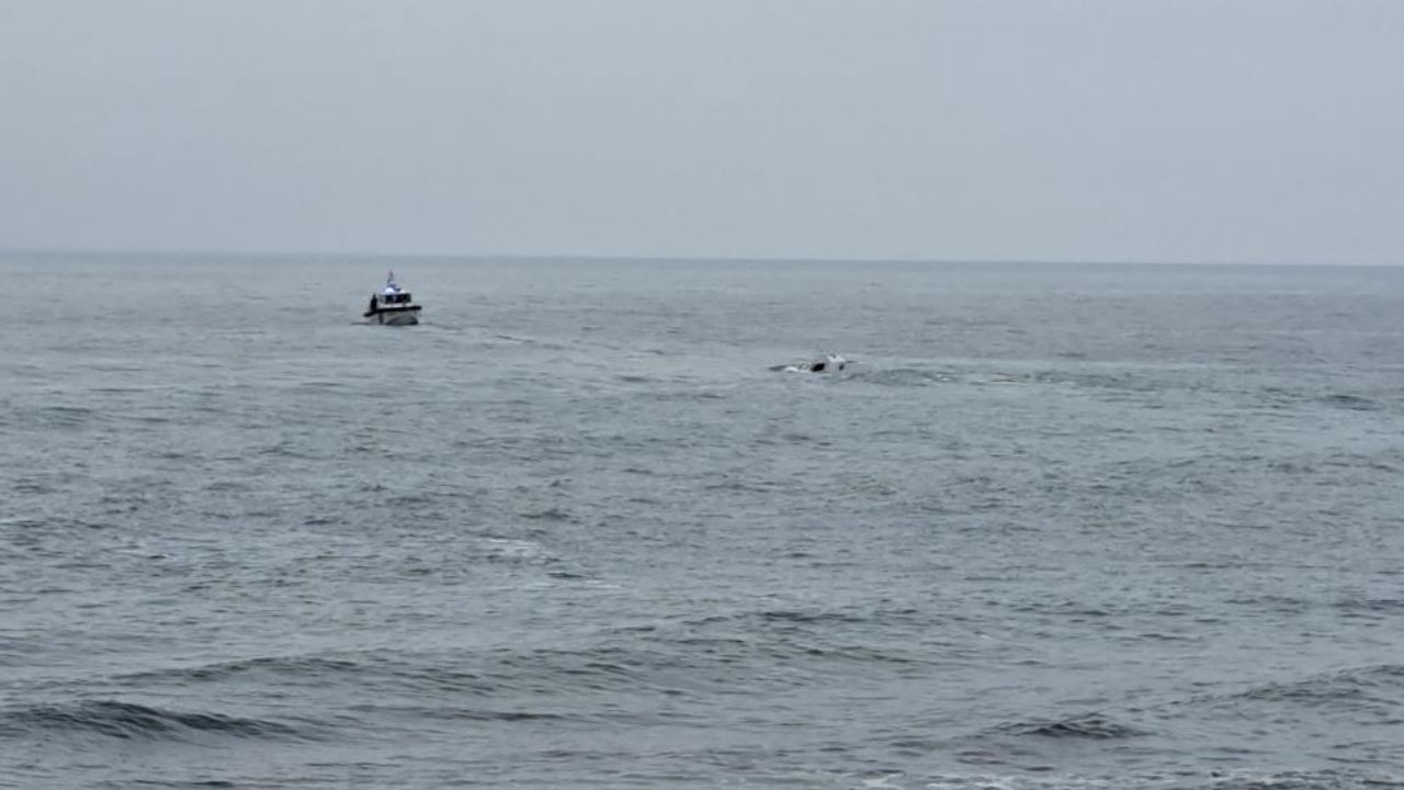 Karadeniz Kıyısında Alarm Sahile Vuran Cisim Kontrollü Şekilde Imha Edildi (2)