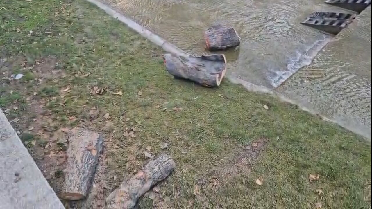 Kastamonu Da Çay Boyu Ağaç Kesildi (2)