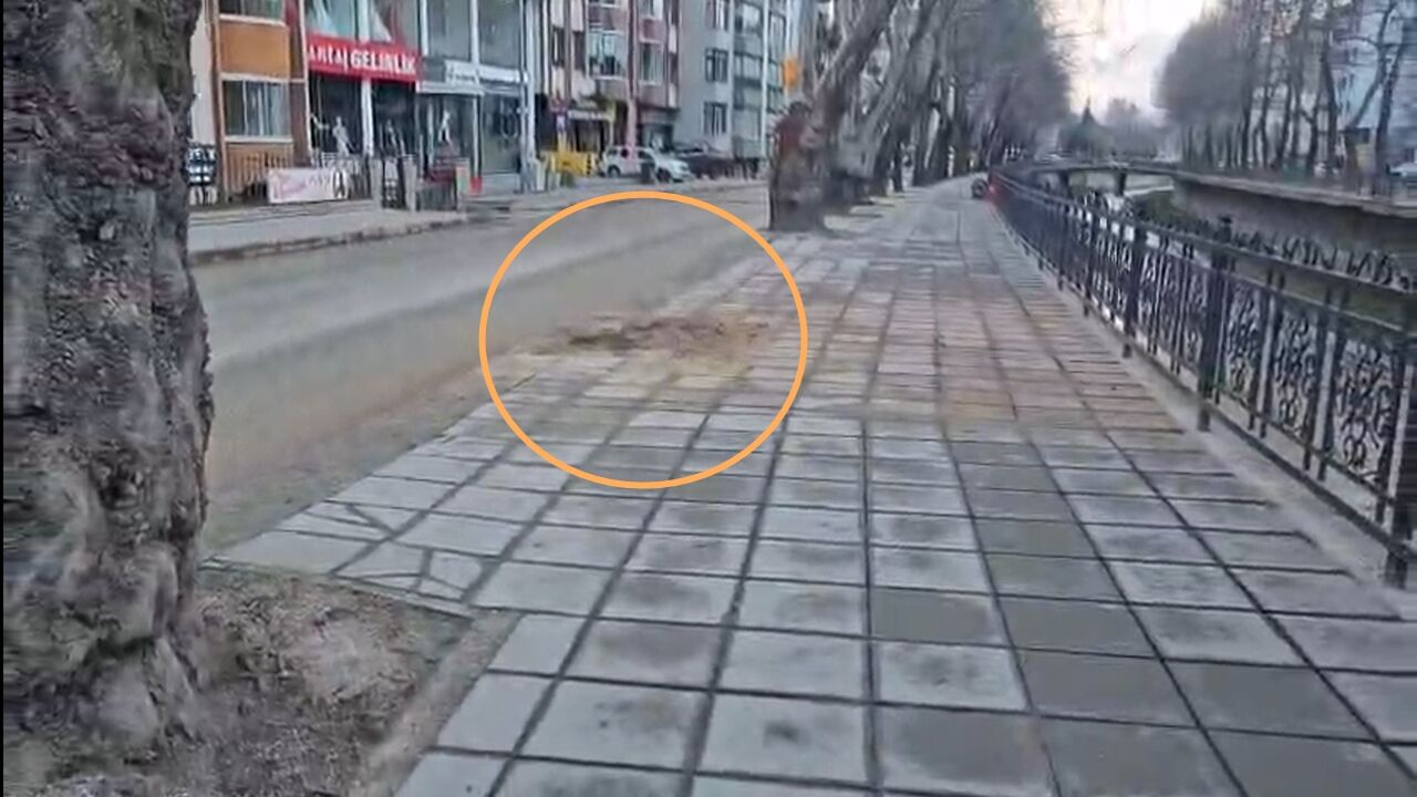 Kastamonu Da Çay Boyu Ağaç Kesildi (4)