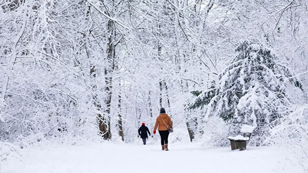 Kastamonu Da Lapa Lapa Kar Yağacak Meteoroloji (3)