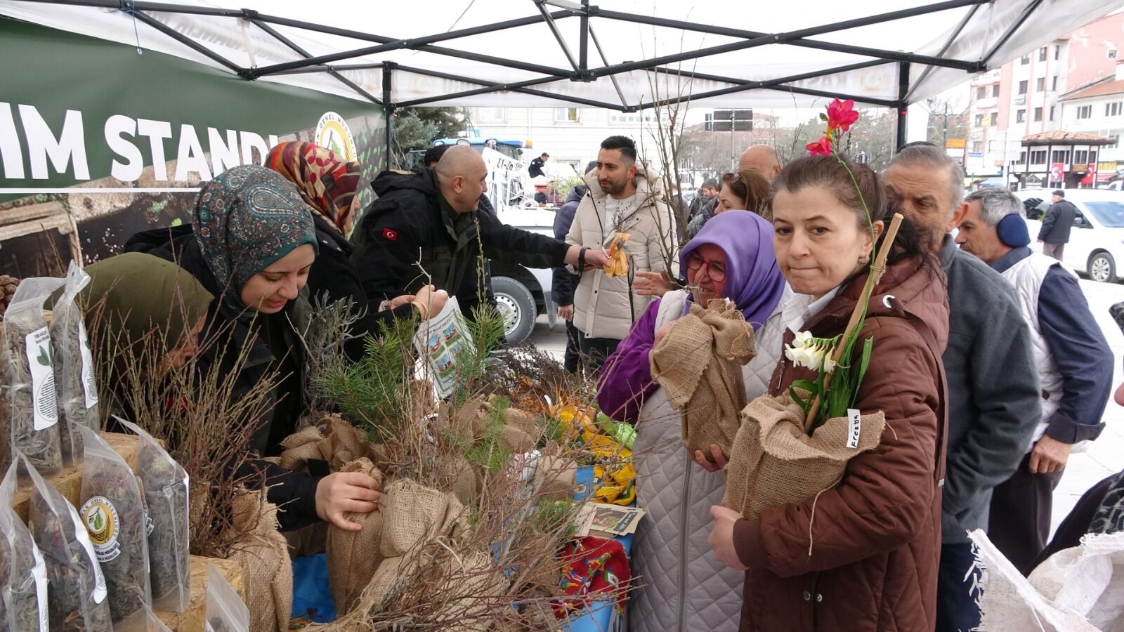 Kastamonu Genelinde 210 Bin Fidan Dikilecek 12