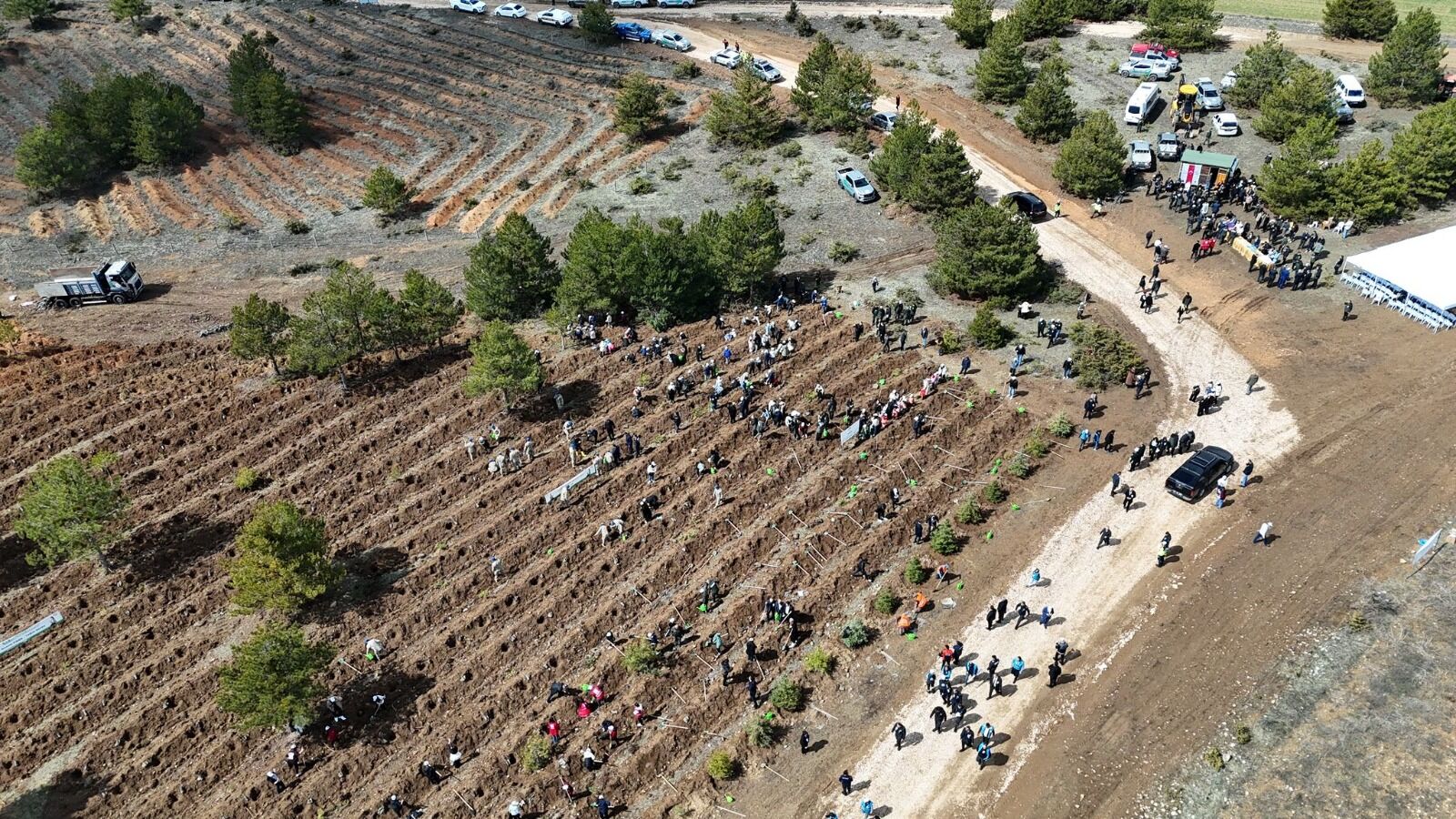 Kastamonu Genelinde 210 Bin Fidan Dikilecek 2