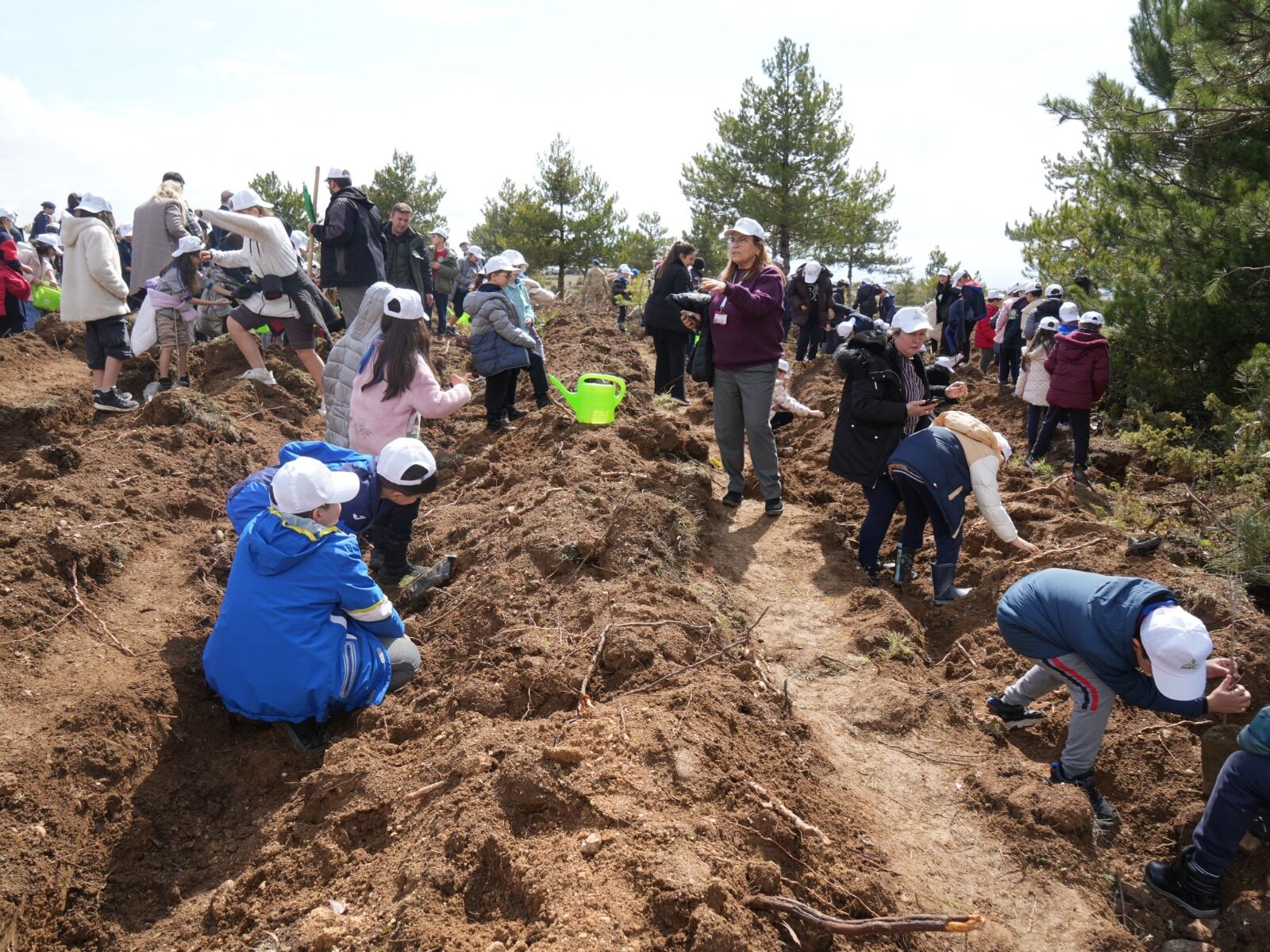 Kastamonu Genelinde 210 Bin Fidan Dikilecek 24