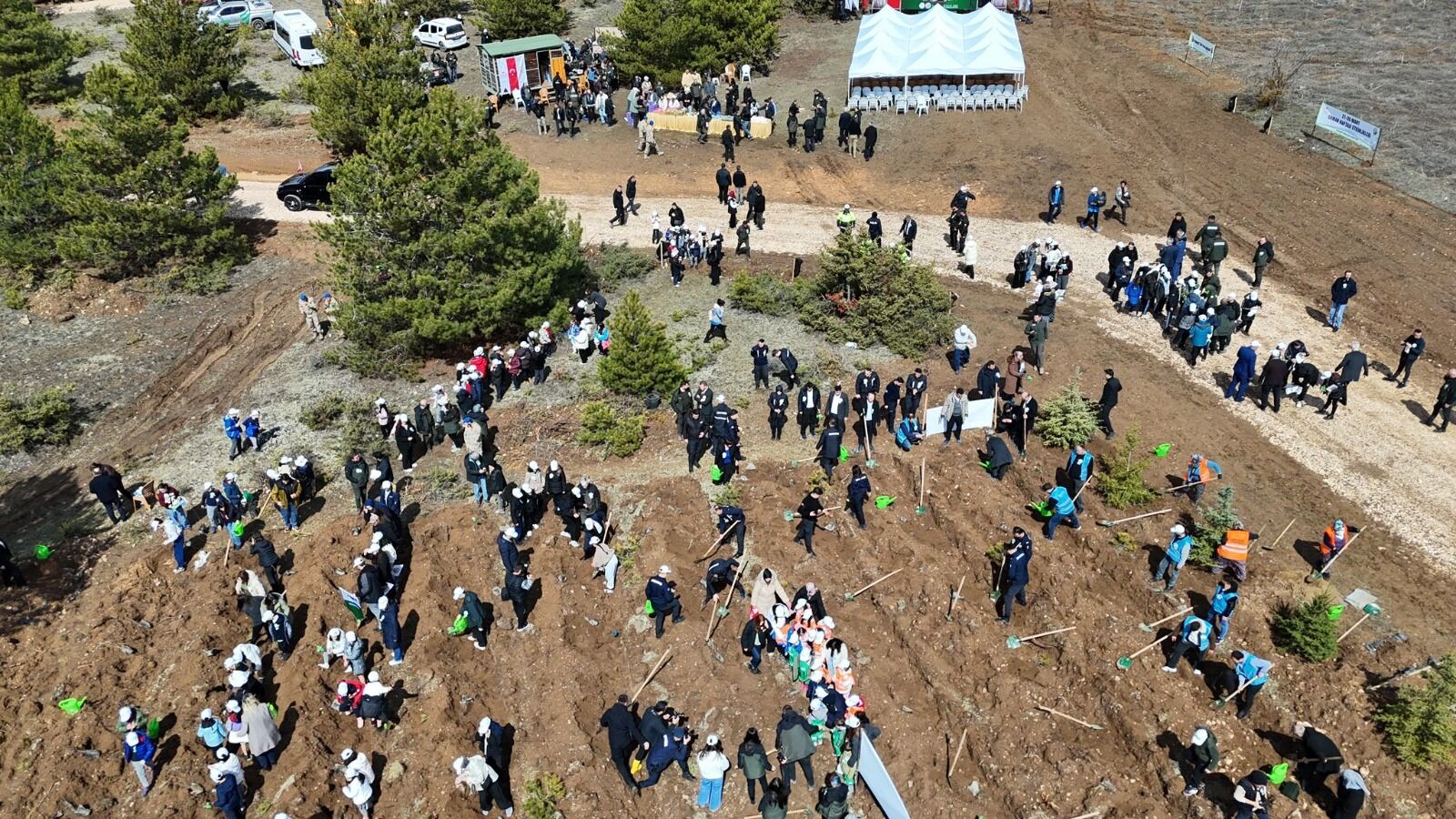 Kastamonu Genelinde 210 Bin Fidan Dikilecek 4