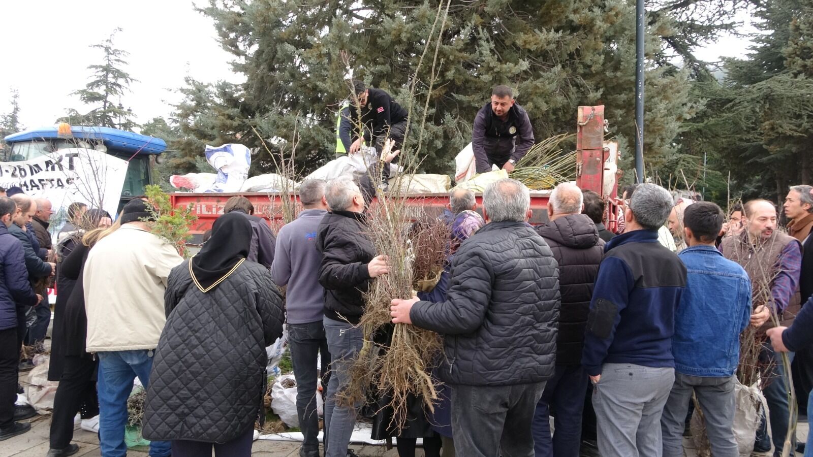 Kastamonu Genelinde 210 Bin Fidan Dikilecek 8