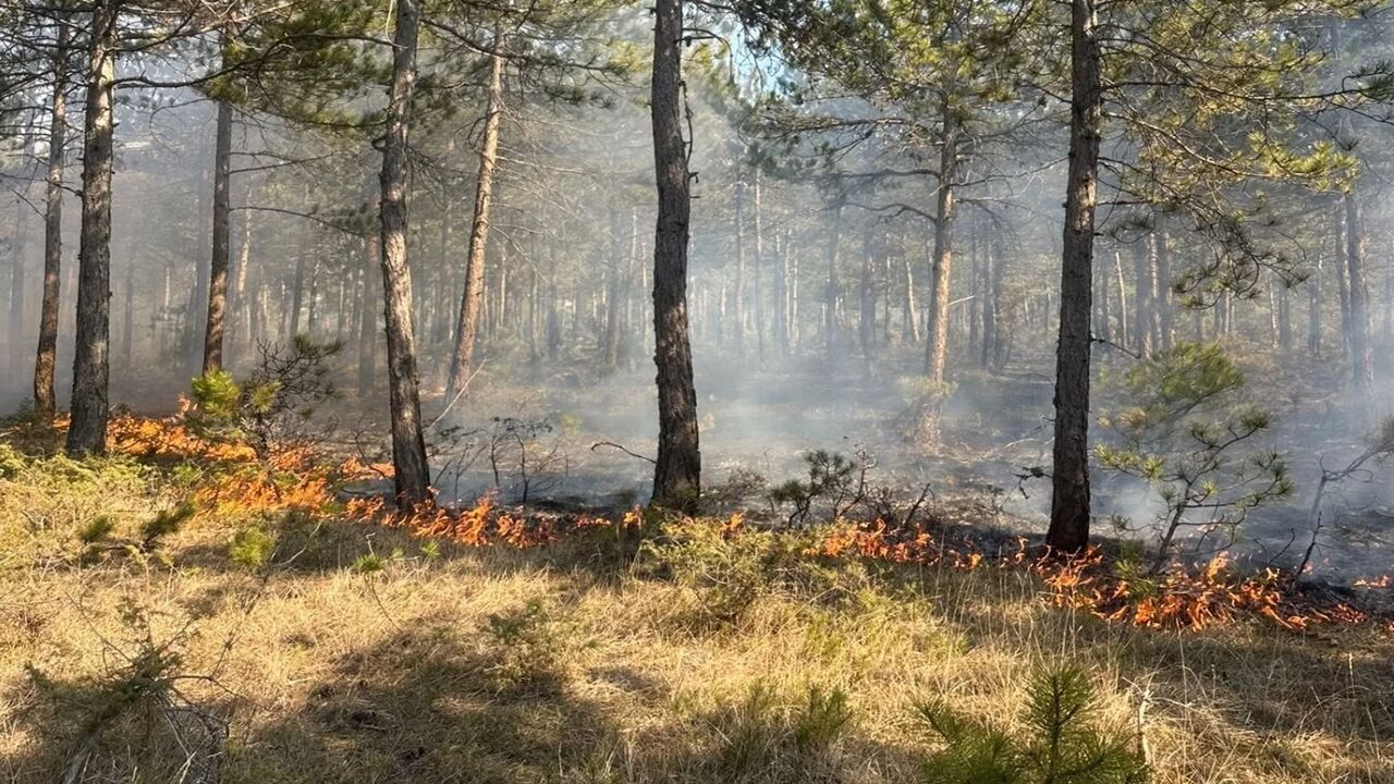 Kastamonu Orman Yangını (1)