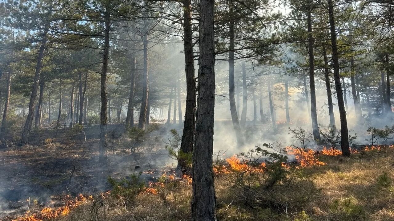 Kastamonu Orman Yangını (2)