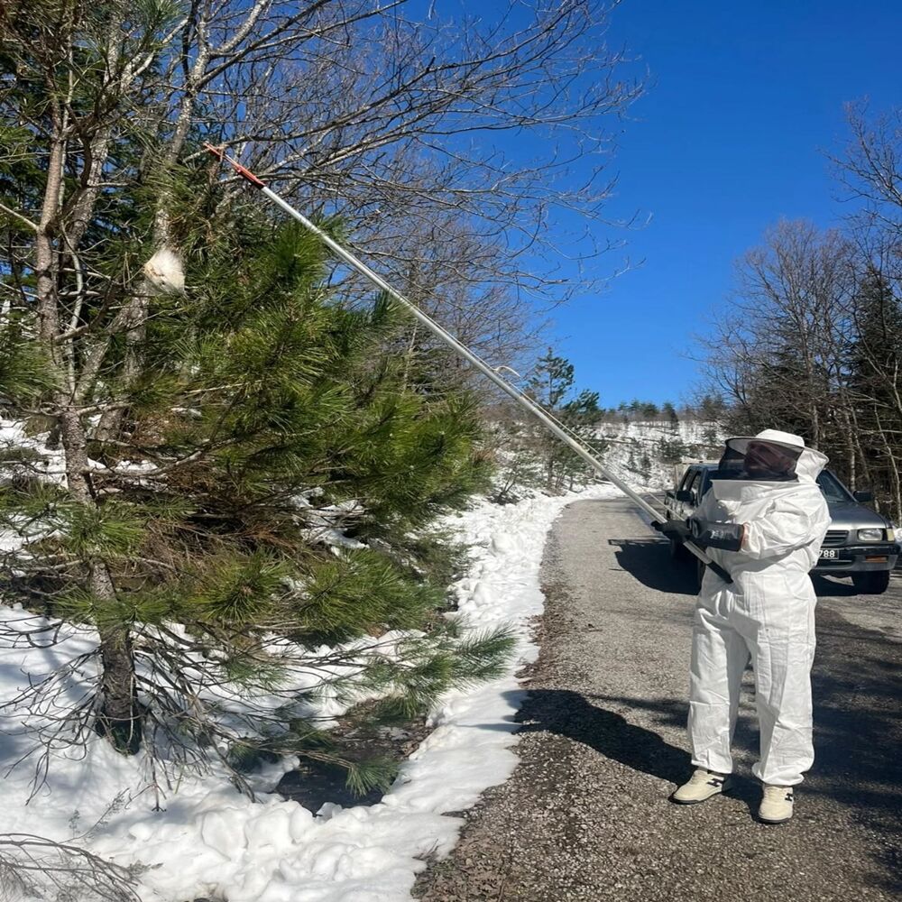 Kastamonu Ormanlarıda Özel Maskeli Av (2)