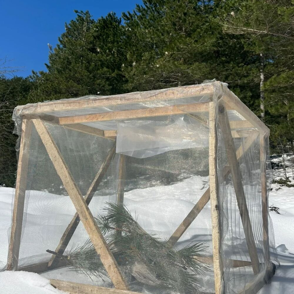 Kastamonu Ormanlarıda Özel Maskeli Av (3)