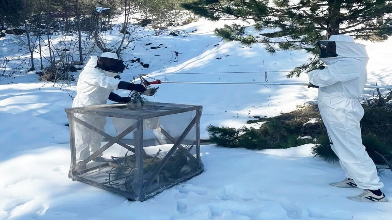 Kastamonu Ormanlarıda Özel Maskeli Av (5)