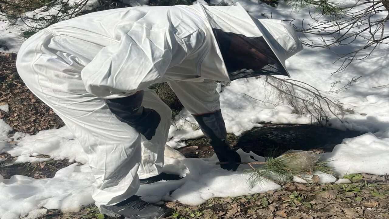 Kastamonu Ormanlarıda Özel Maskeli Av (7)