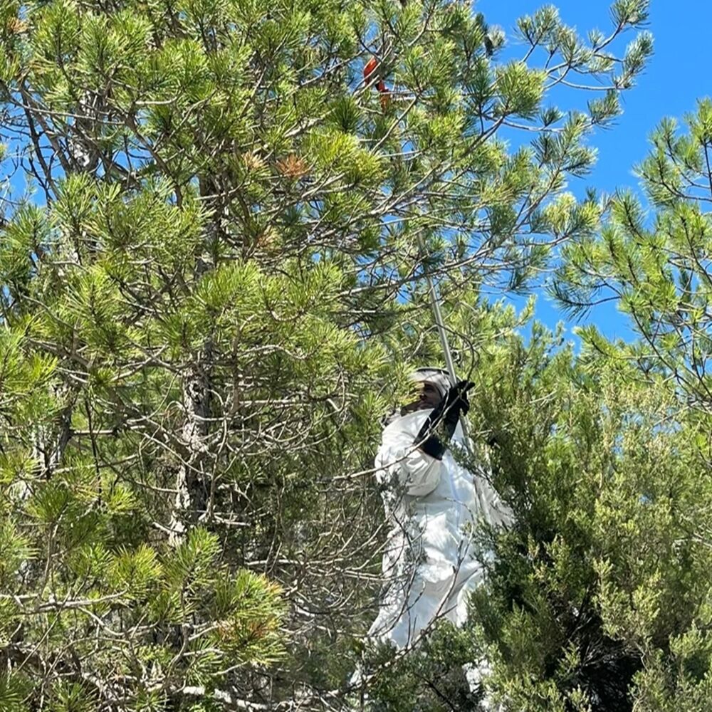 Kastamonu Ormanlarıda Özel Maskeli Av (8)