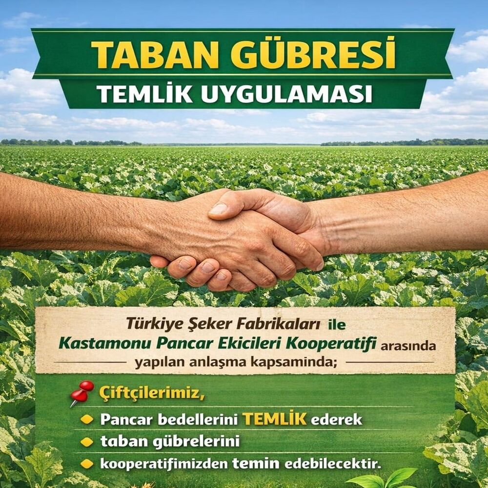 Kastamonu Pancar Anlaşma Pancar (1)