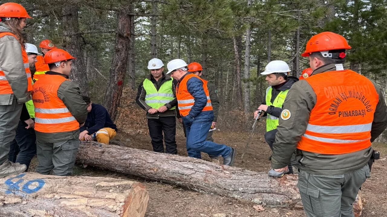 Kastamonu Pınarbaşı Ormancılık (1)