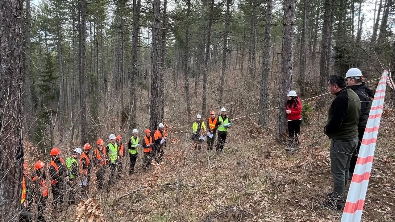 Kastamonu Pınarbaşı Ormancılık (2)