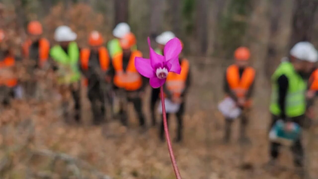 Kastamonu Pınarbaşı Ormancılık (4)