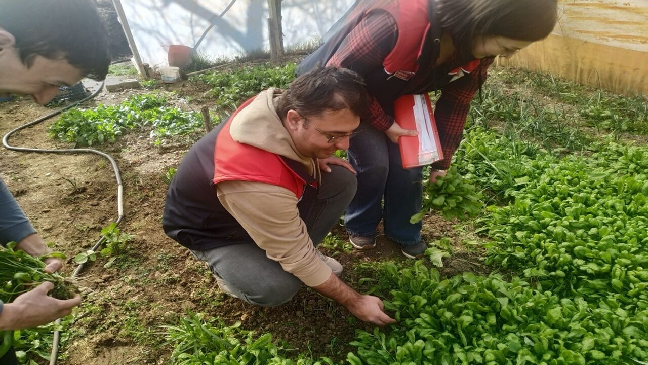 Kastamonu Tarım Il Müdürlüğü Saha Çalışması (4)