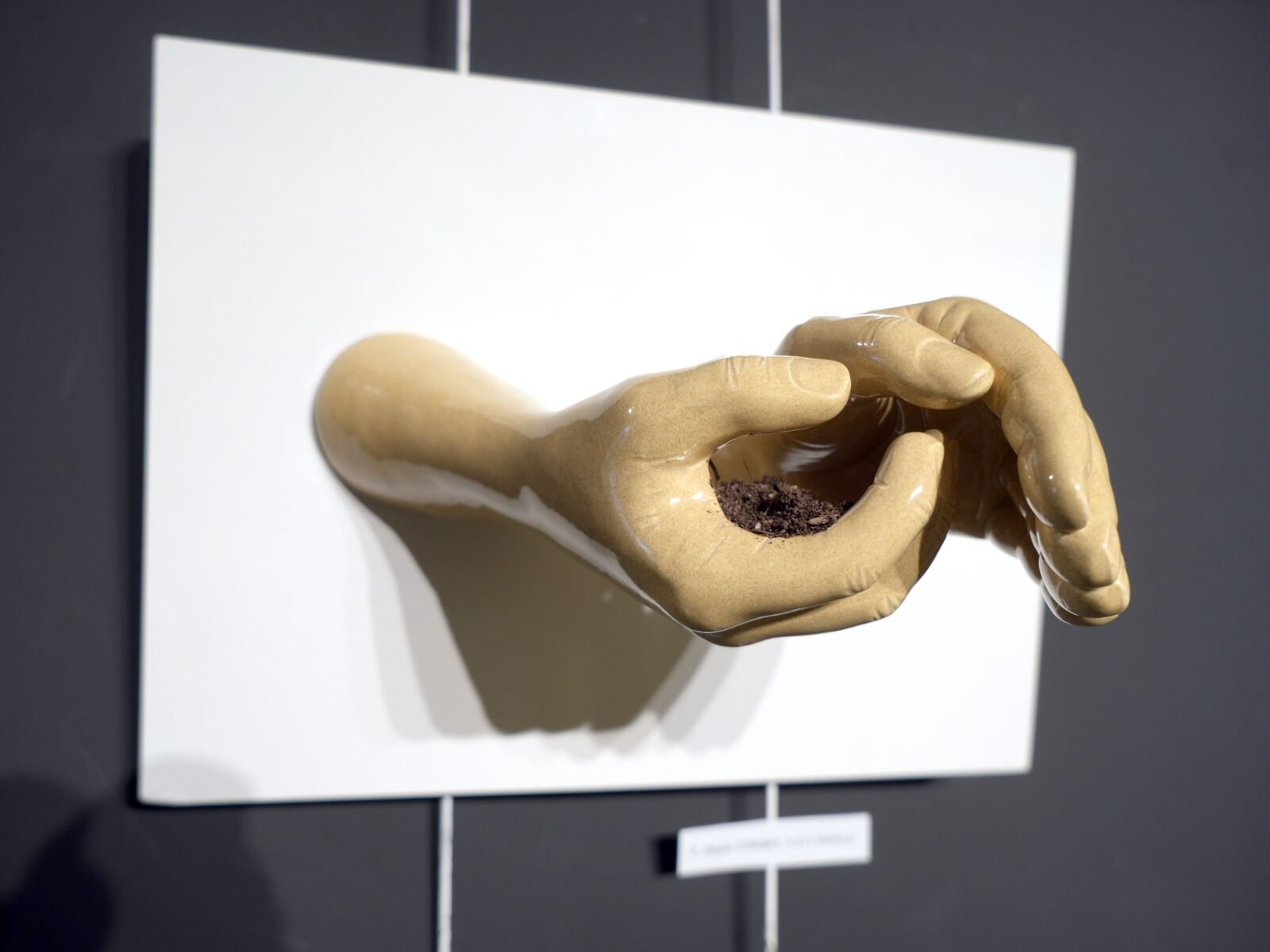 Kastamonu'da 18 Mart Çanakkale Zaferi Sergisi Açıldı 12