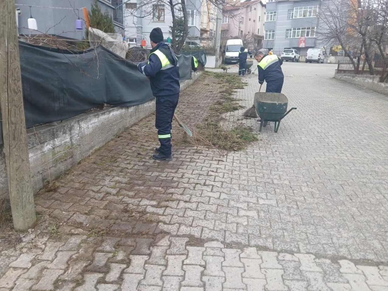 Kastamonu’da Çınar Ağaçları Için Kök Budama Çalışması Gerçekleştirildi2