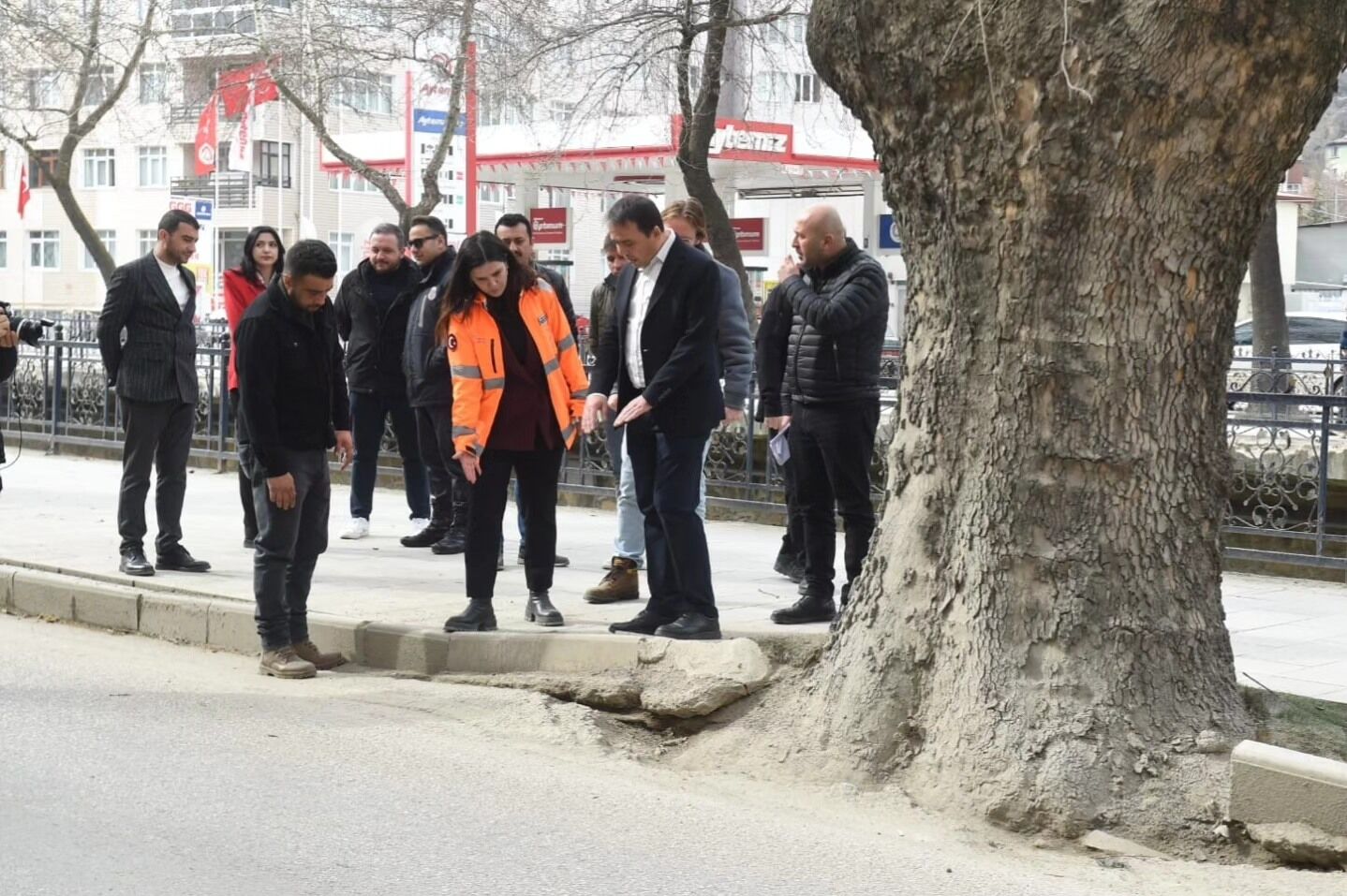 Kastamonu’da Çınar Ağaçları Için Kök Budama Çalışması Gerçekleştirildi5