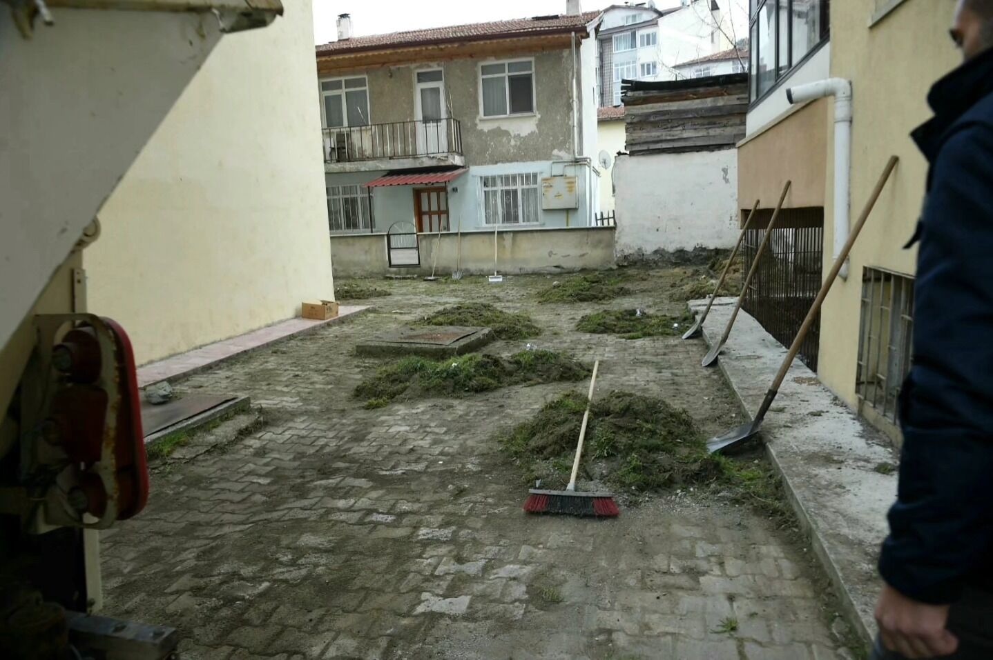 Kastamonu’da Çınar Ağaçları Için Kök Budama Çalışması Gerçekleştirildi6