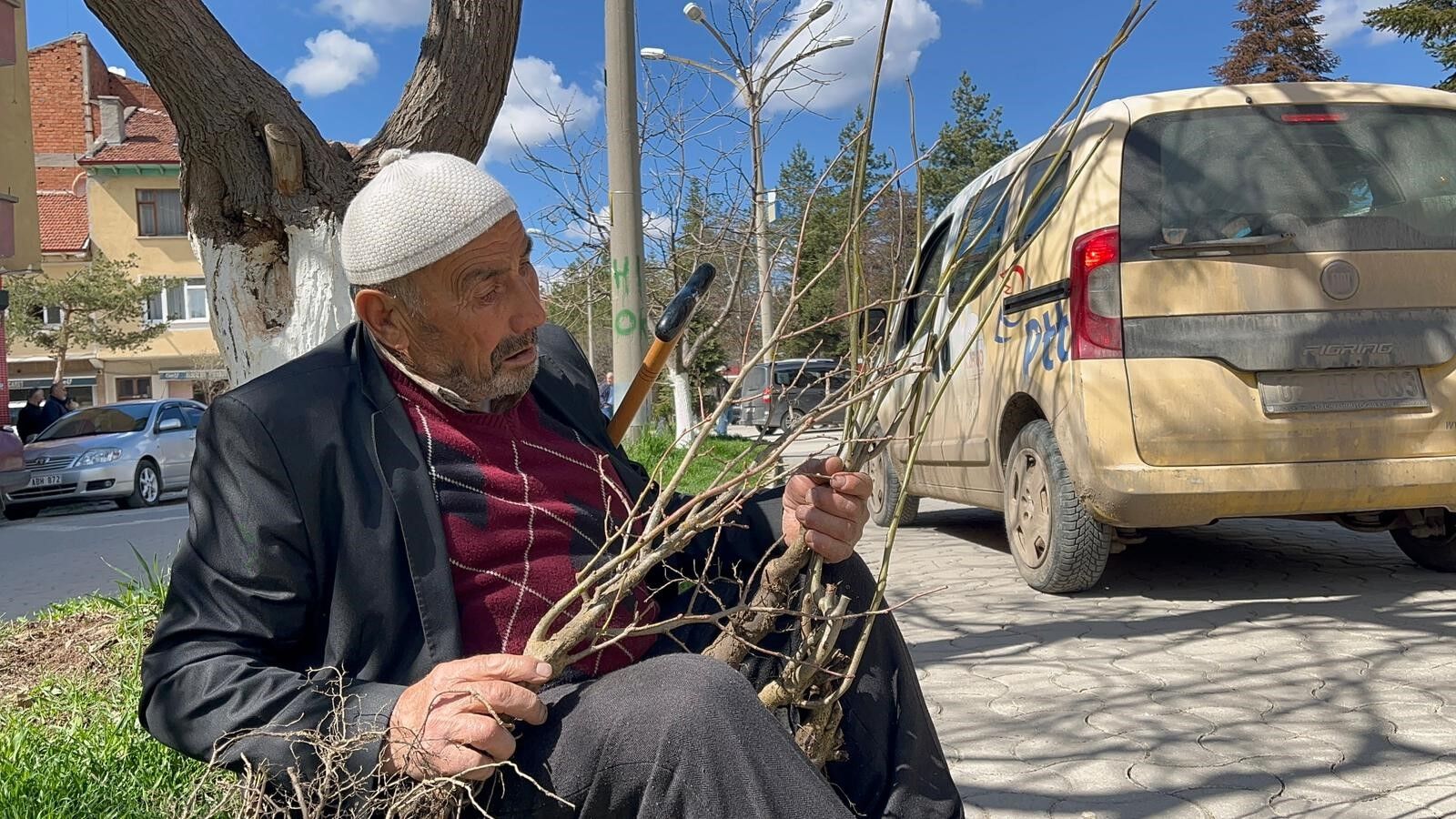 Kastamonu'da Dağıtılan 2 Bin Fidan Saniyeler Içerisinde Tükendi 4