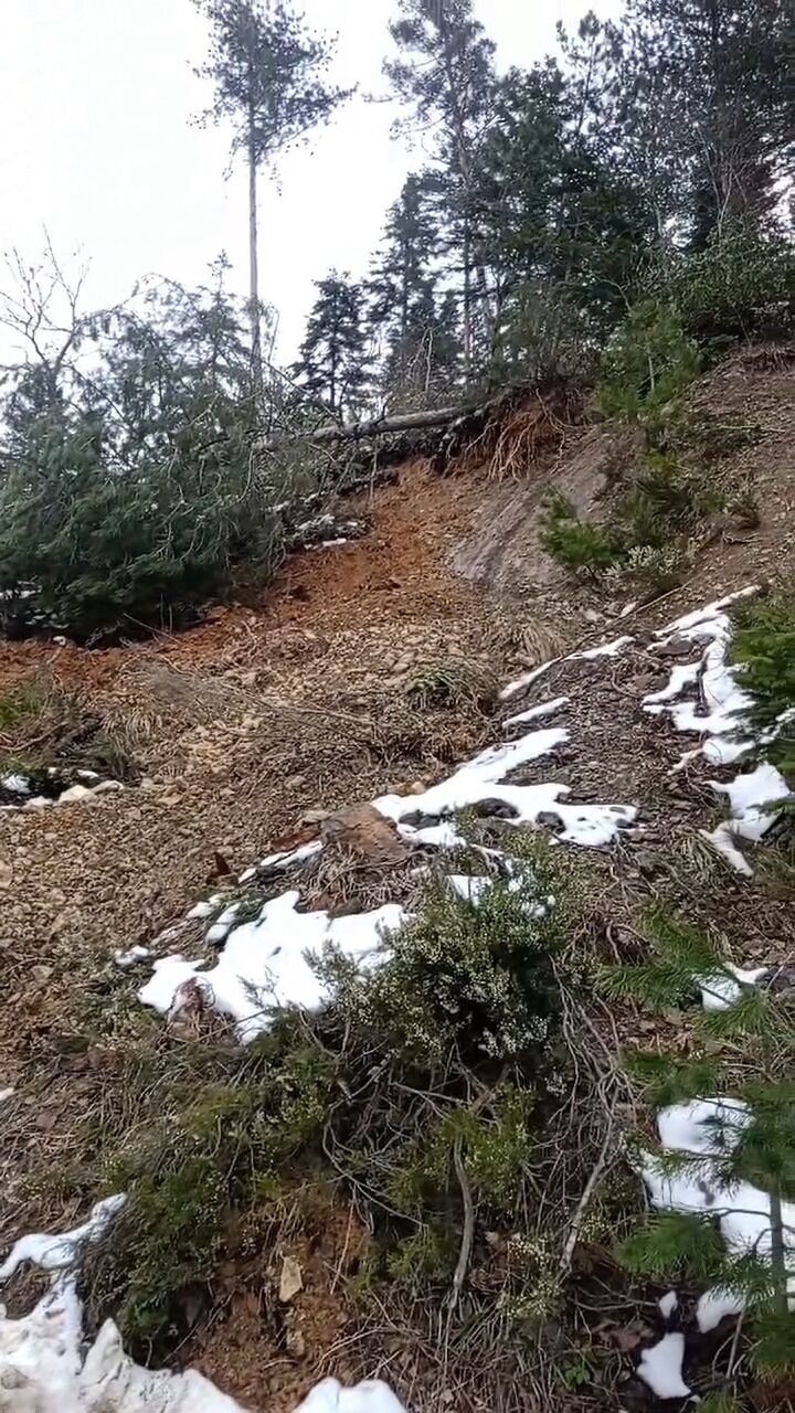 Kastamonu'da Heyelan! Toprak Ve Ağaçlar Yolu Kapladı Araçlar Güçlükle Ilerledi! 12
