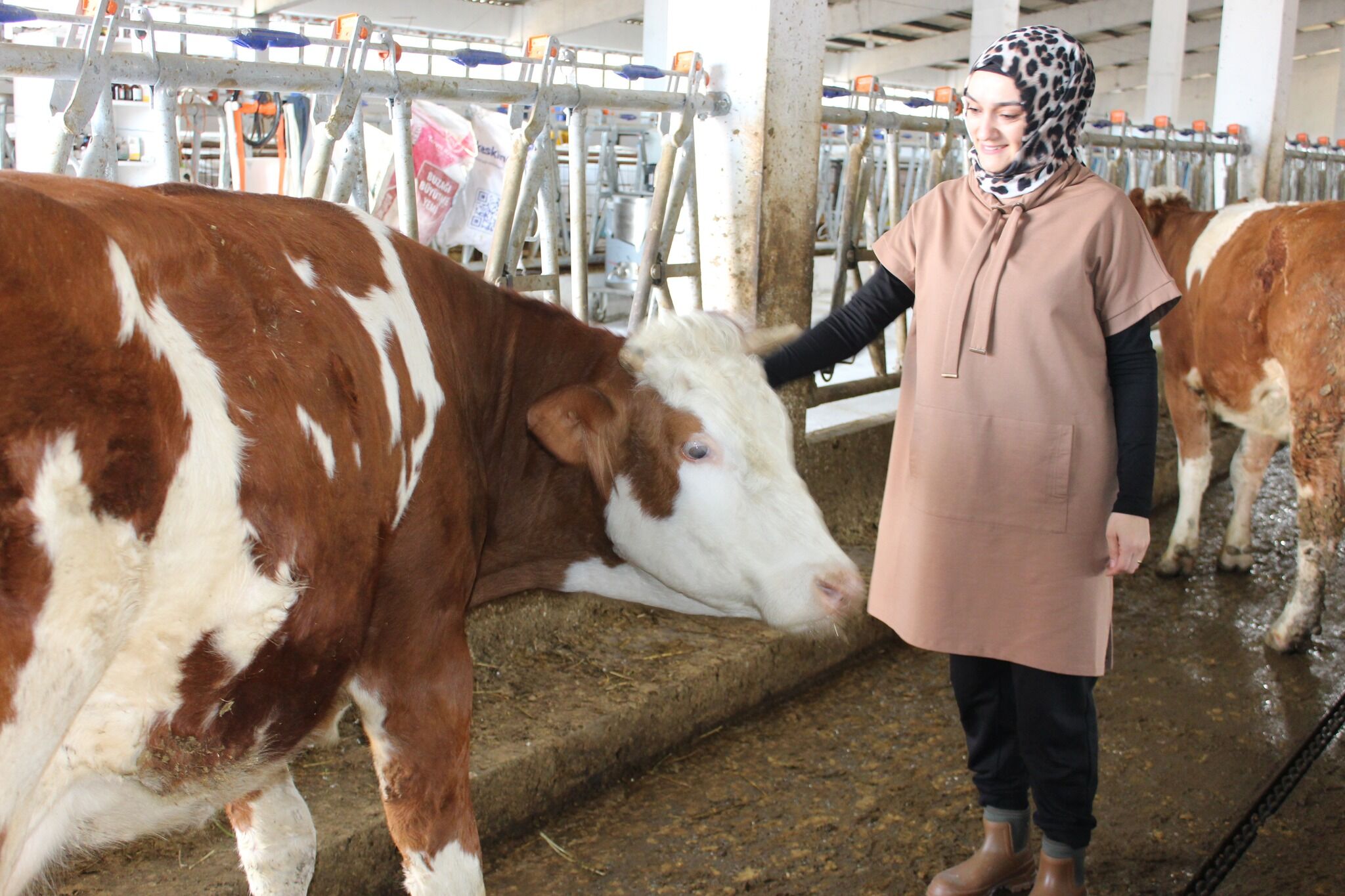 Kastamonu’da Kadın Girişimciden Avrupa Standartlarında Süt Üretimi
