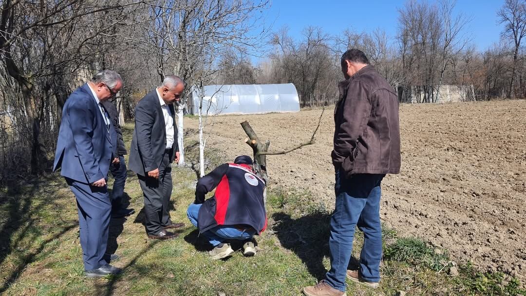 Kastamonu'da Meyve Ağaçlarında Budama Teknikleri Anlatıldı 14