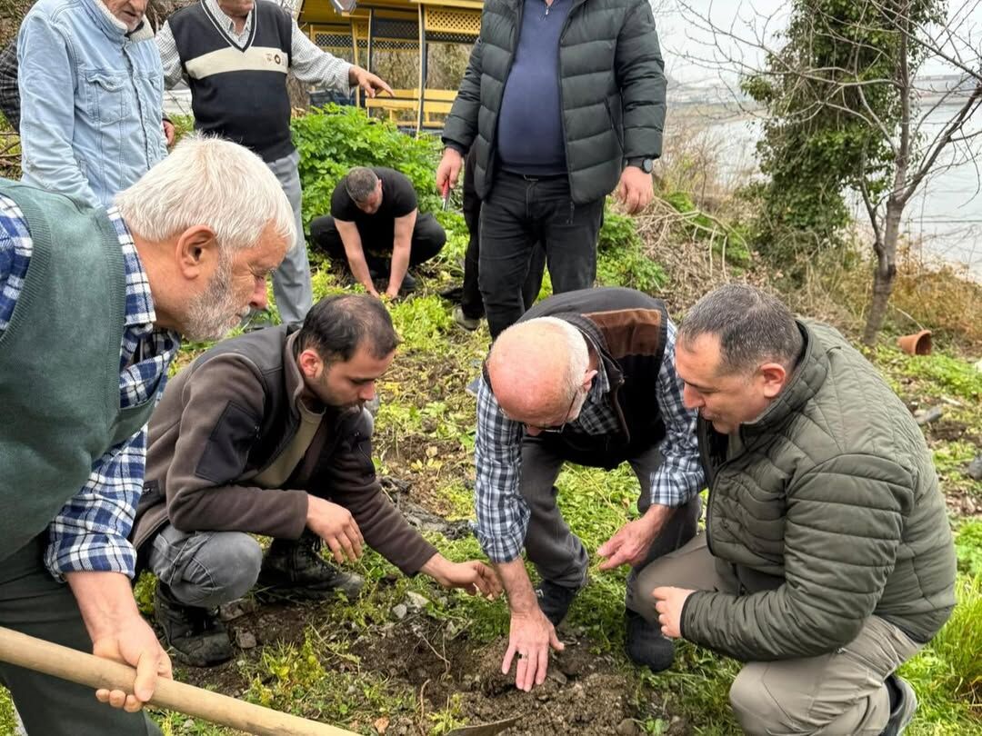 Kastamonu'nun Ilçesinde 9 Bin Fidan Toprakla Buluşturuldu 2