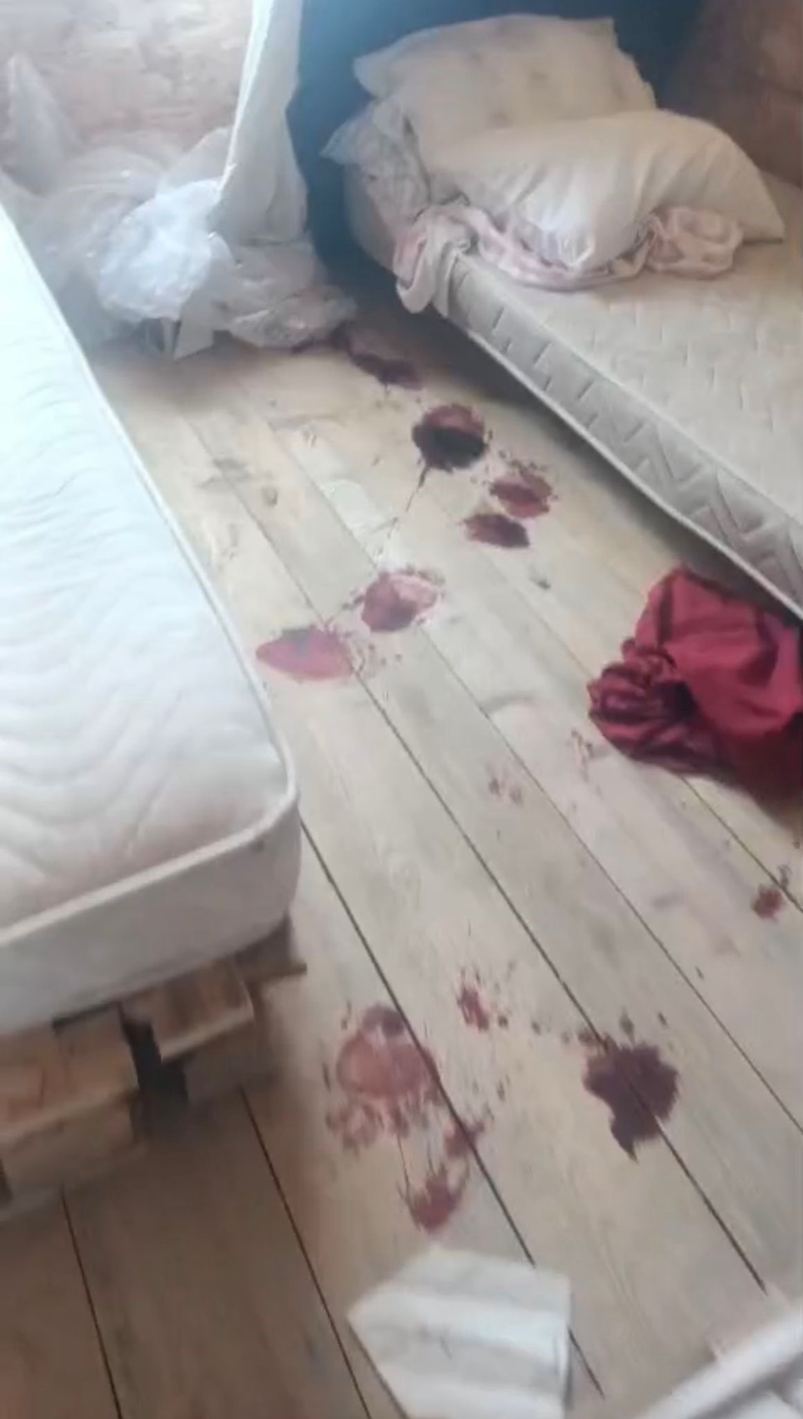 Kış Uykusundan Uyanan Ayı Evleri Paramparça Etti!