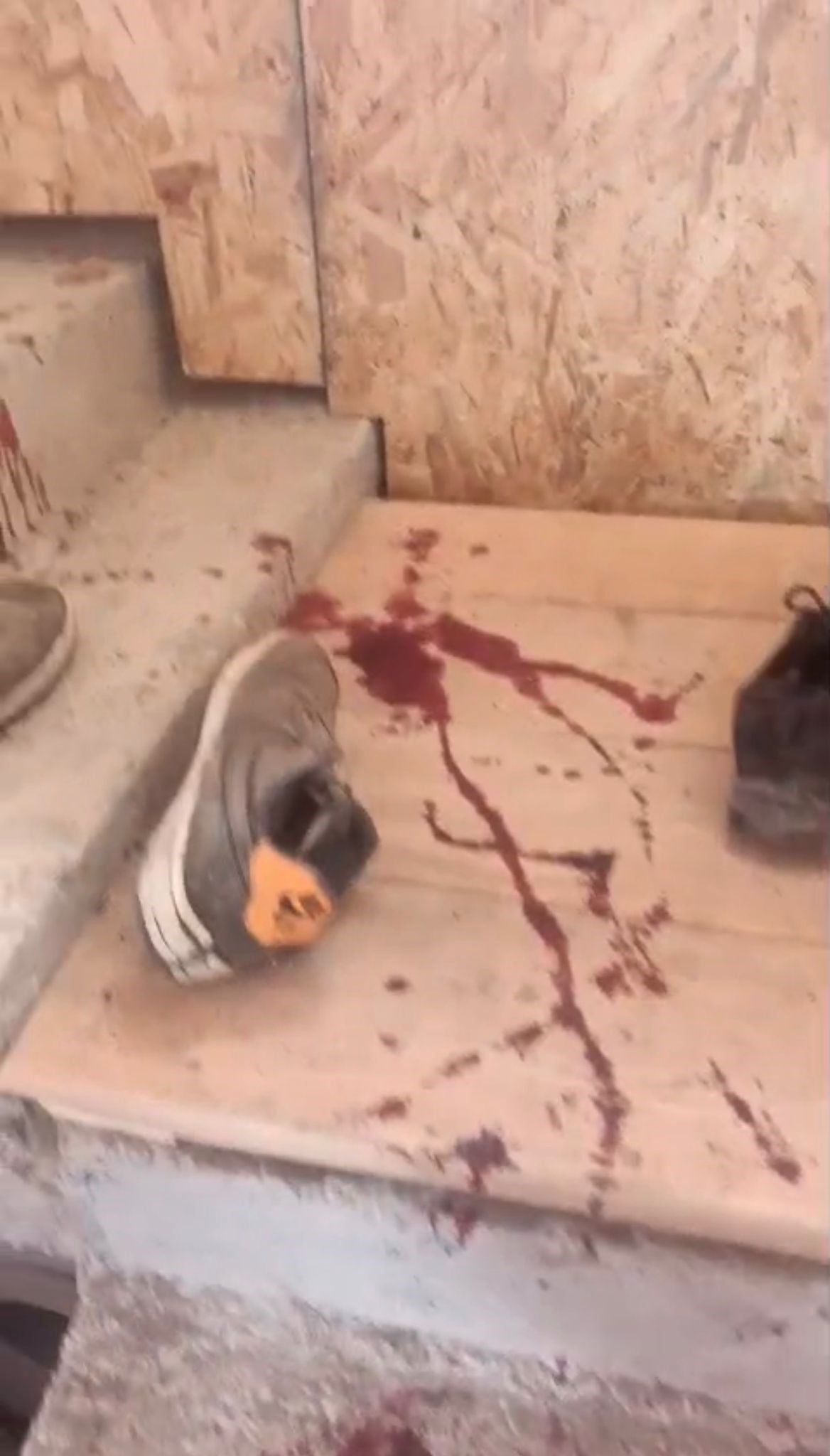 Kış Uykusundan Uyanan Ayı Evleri Paramparça Etti!1