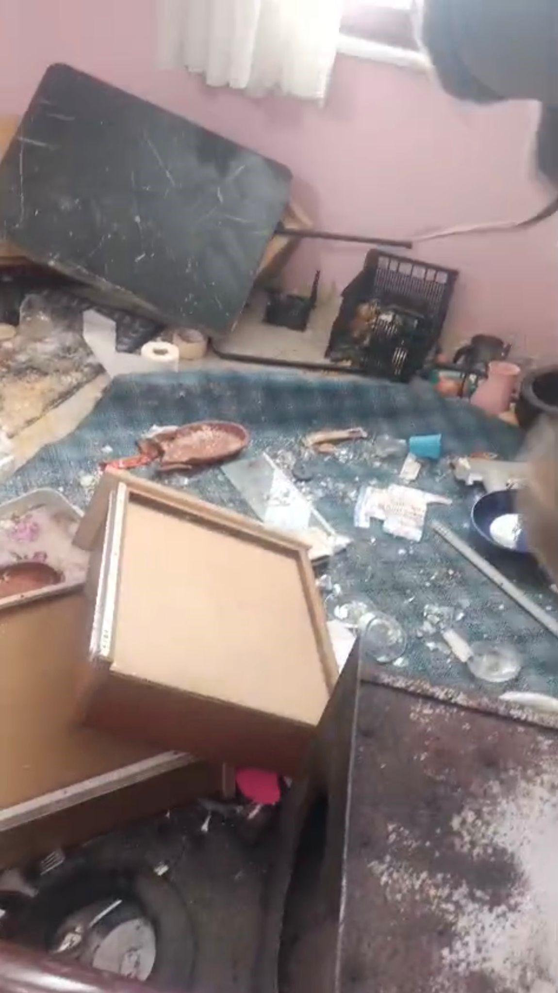 Kış Uykusundan Uyanan Ayı Evleri Paramparça Etti!3