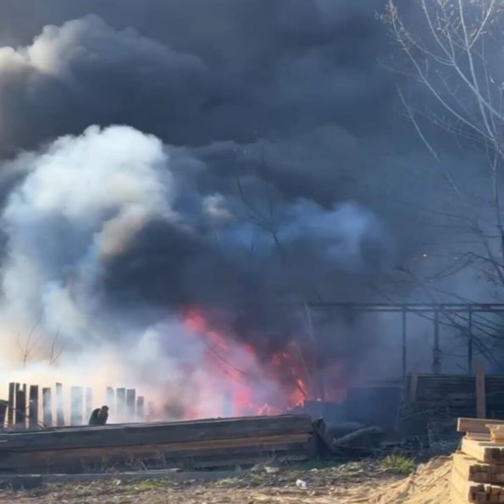 Komşu Karabulut (1)