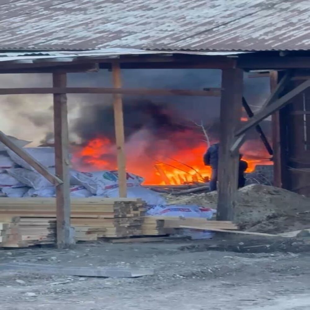 Komşu Karabulut (3)