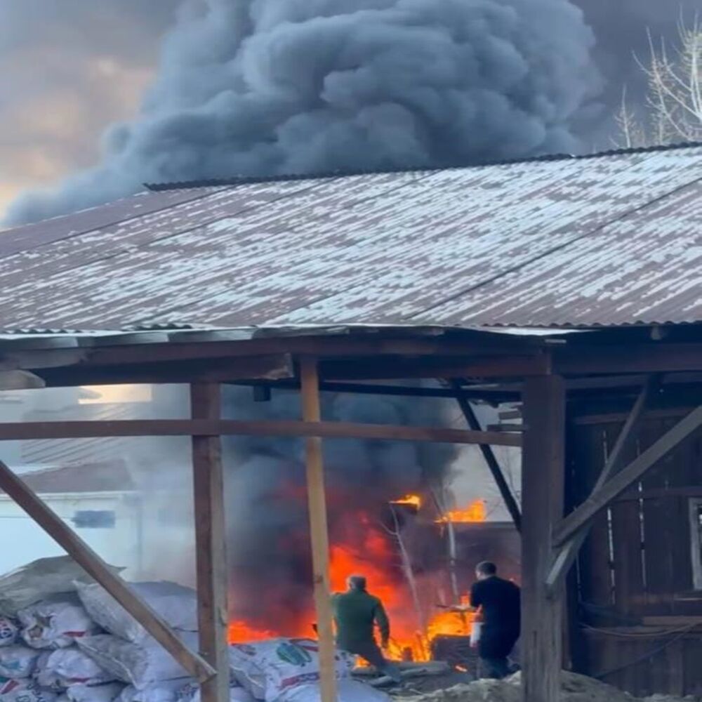 Komşu Karabulut (4)